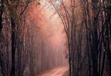 旺财28官网：生涯0胜4负，斯佳辉遇克星难逃一轮游，武汉丢冠.