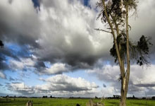 旺财28官网：伤愈复出的林葳状态爆表，狂砍36分单节轰下17分！彻底杀死比赛.