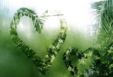 旺财28官网：NBA掘金视频3小时前.